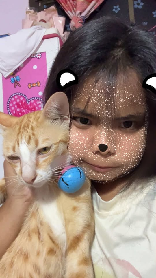 Yaimai กับแมว